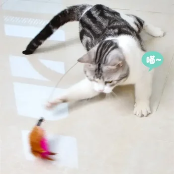 Обучение с принадлежностями Домашние животные Палочка Колокольчик Забавный интерактивный ошейник для кошек Игрушки для котенка