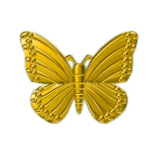 Зубной камень из чистого золота 18-каратный набор золотых зубных камней с символом бабочки Зубные камни
