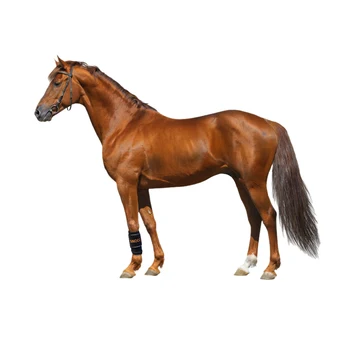 лошадиная светотерапия терапия красным светом 660 нм 850 нм коврик для лошади обертывание для терапии красным светом